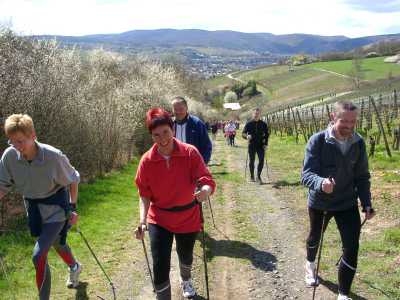 Nordic Walking beim SWR und AOK Walking Day in Ahrweiler am 4.4.2004